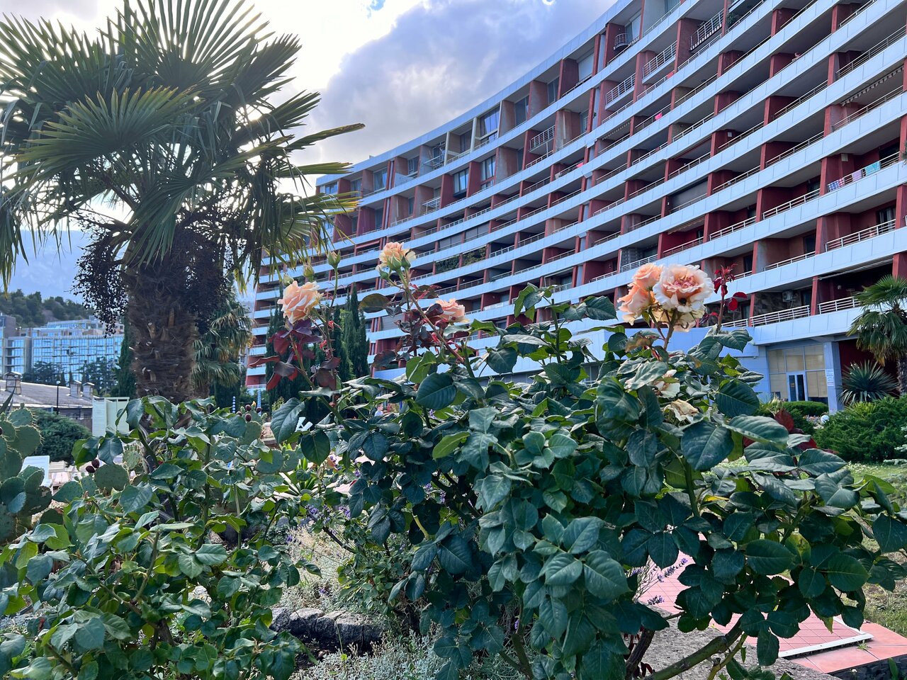 Гостиница Фамилия Делюкс Гурзуф-163